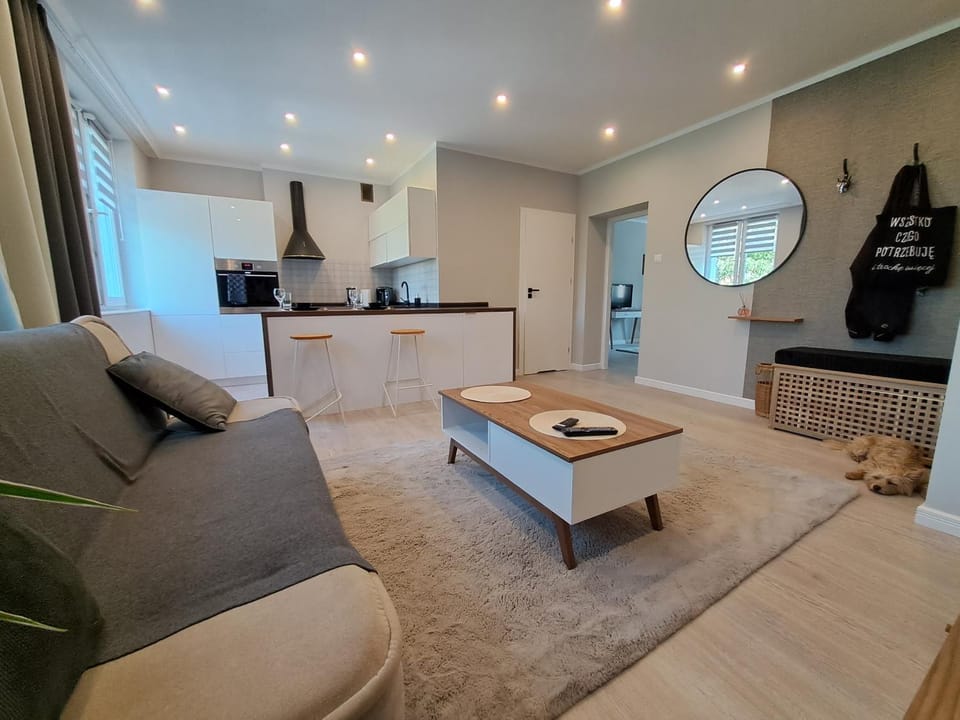 Kitchen or kitchenette, Living room, Dining area, minibar, pet friendly, stove