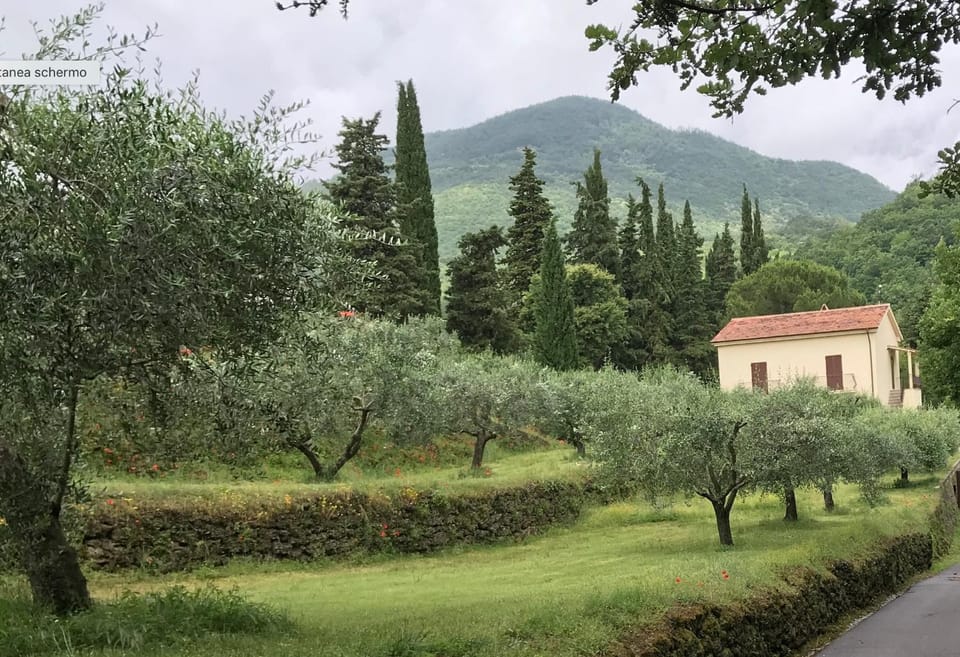Garden, Garden view