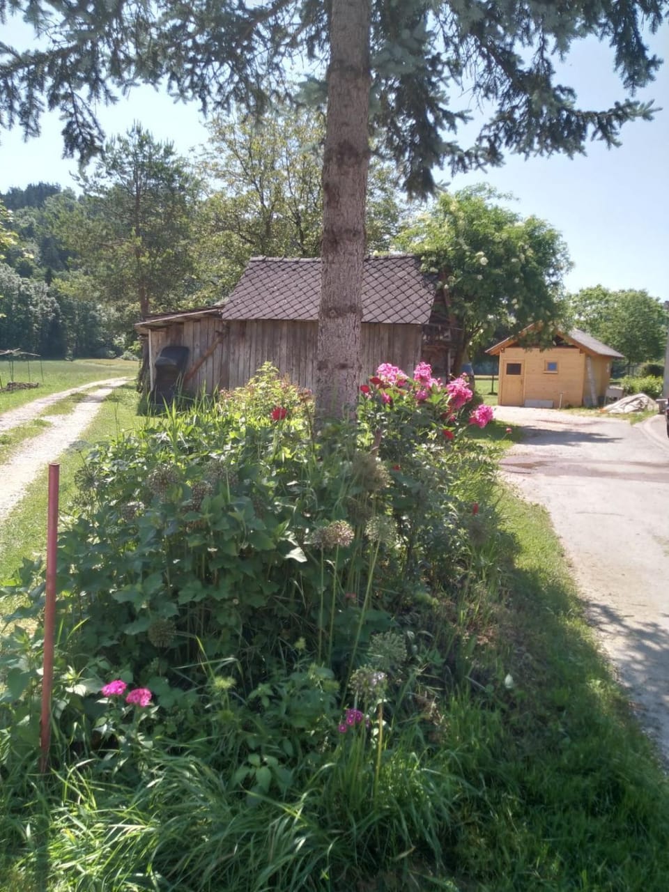 Day, Natural landscape, Garden