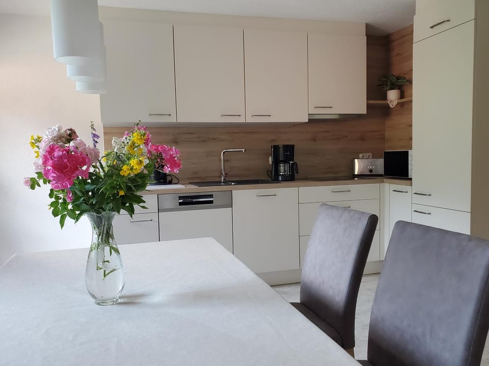 Kitchen or kitchenette, kitchen