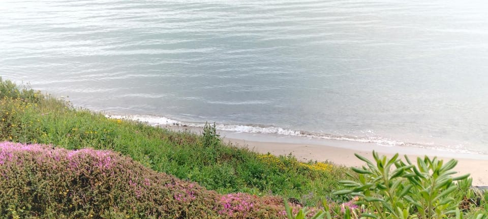 Natural landscape, Beach, Sea view