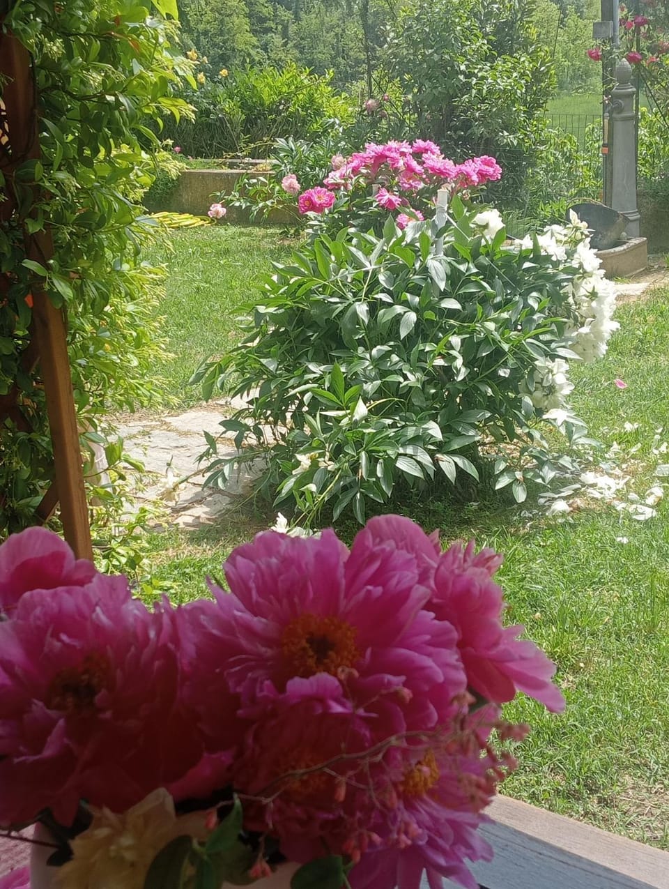 Garden view