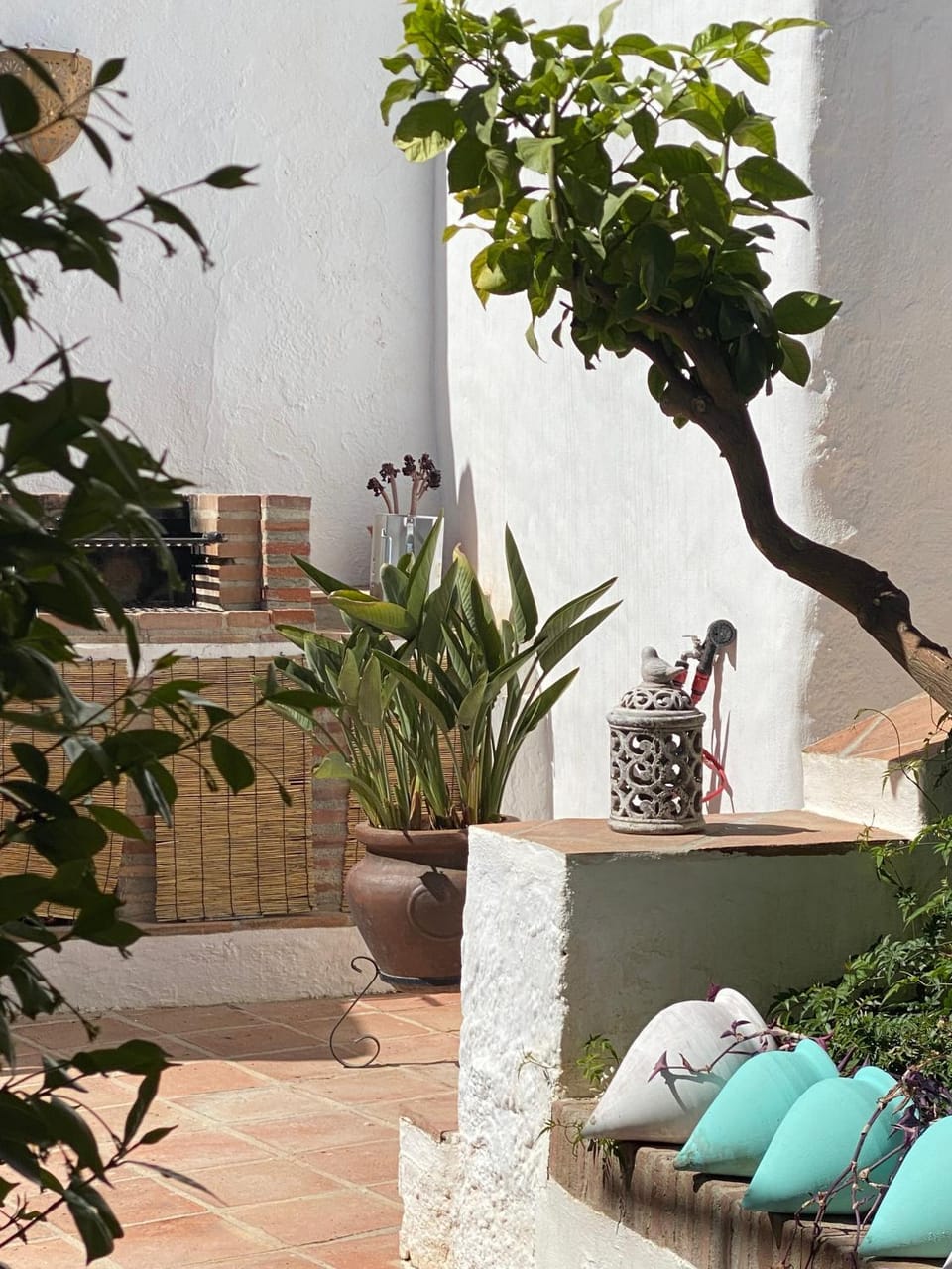 Patio, Garden