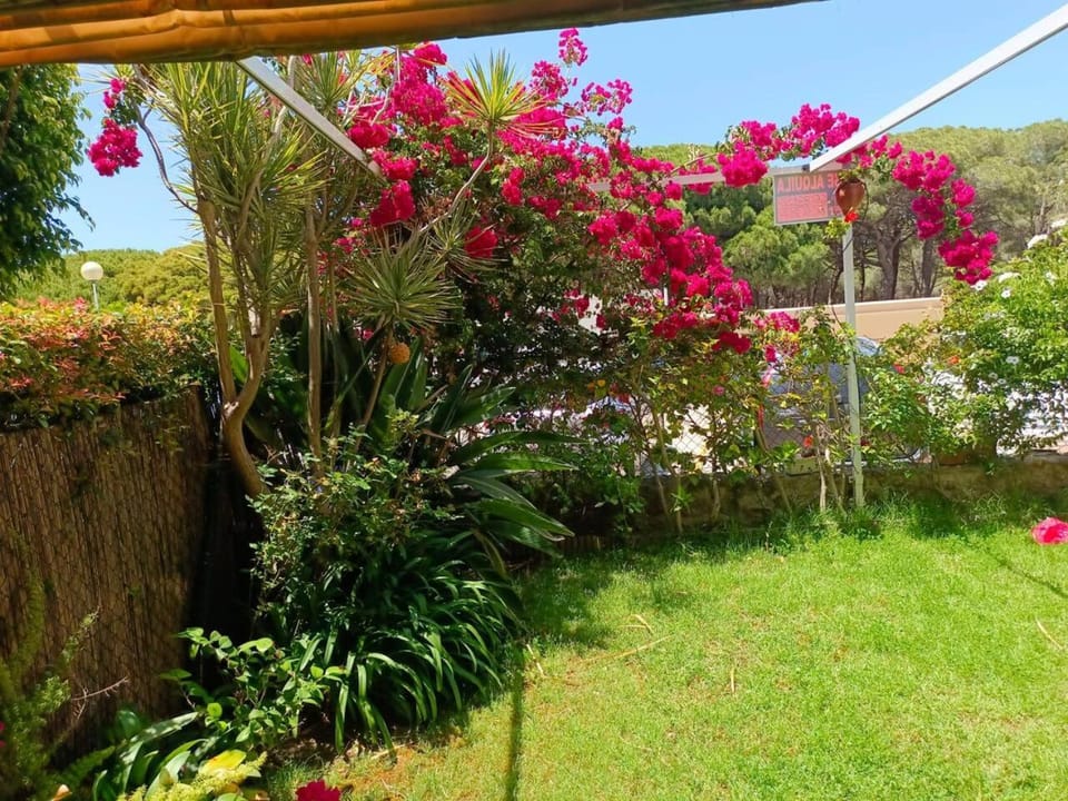 Garden, Garden view