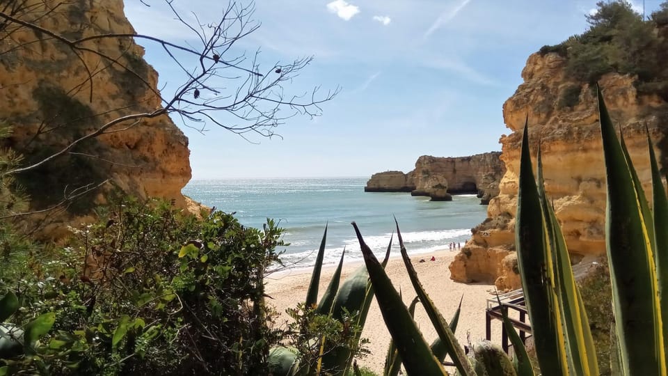Nearby landmark, Natural landscape, Beach