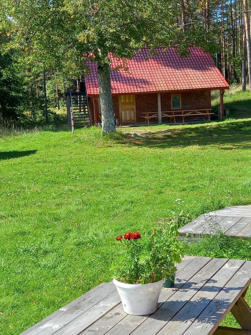 Natural landscape