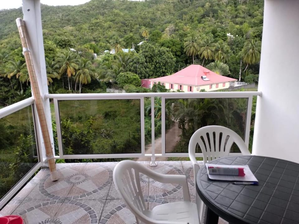 Balcony/Terrace, Mountain view