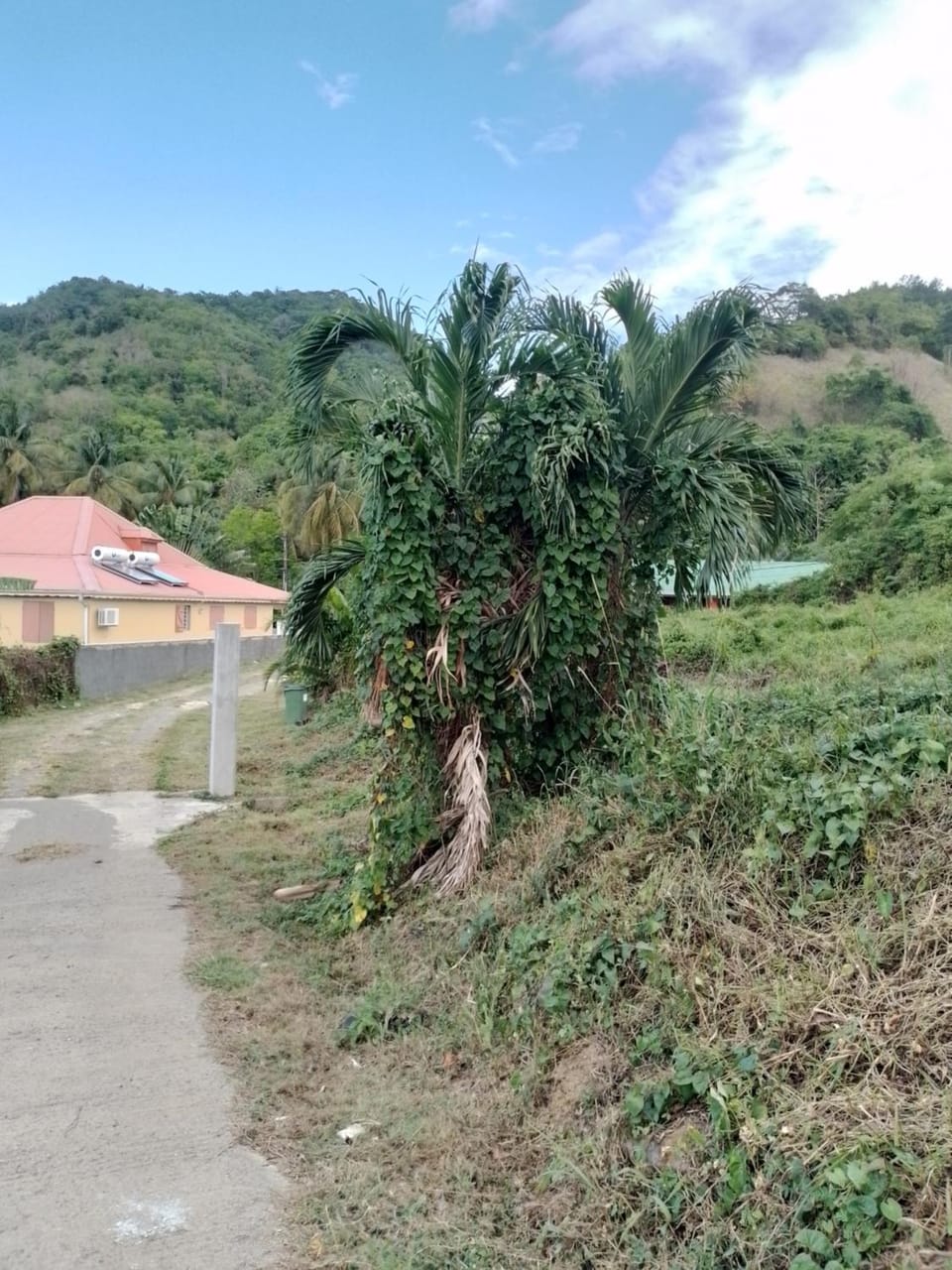 Mountain view