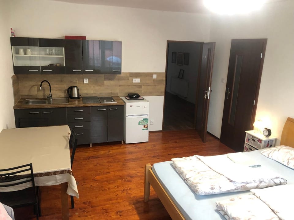 Kitchen or kitchenette, Photo of the whole room