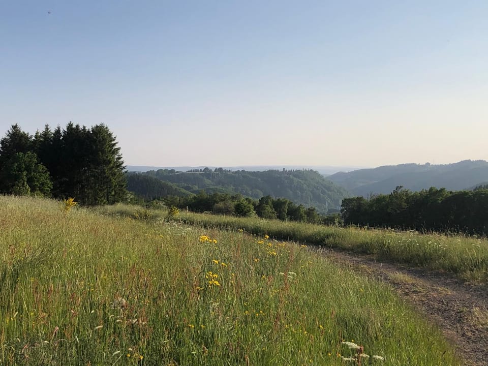 Spring, Day, Natural landscape, Garden, Garden, View (from property/room), Garden view, Garden view