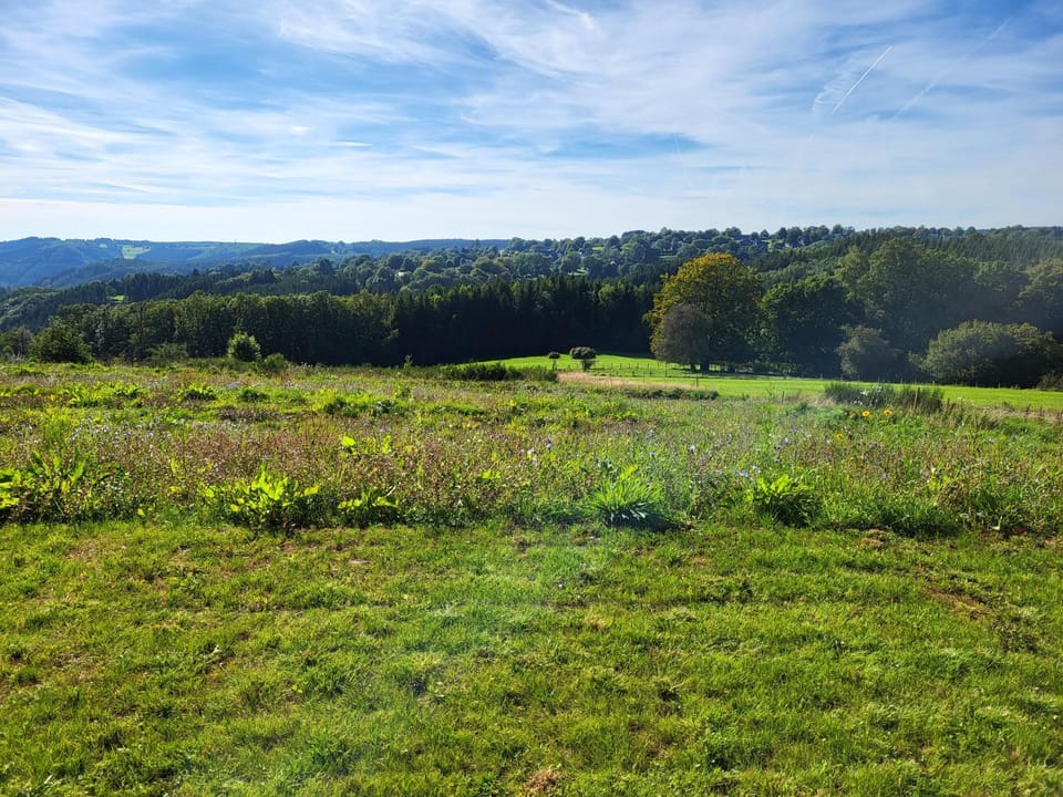Day, Natural landscape, Garden, Garden, View (from property/room), View (from property/room), Garden view, Garden view