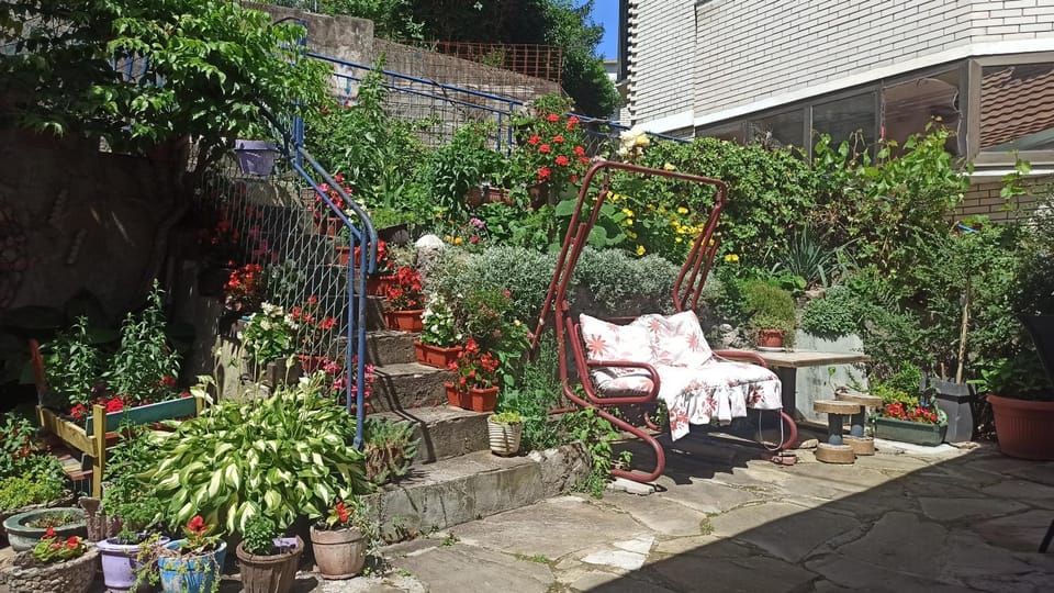 Apartmani Lovcen Apartment in Serbia