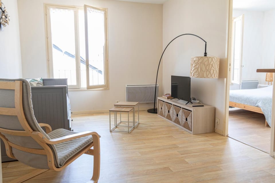Charmant appartement - 5 mn Zoo de Beauval 4p Apartment in Centre-Val de Loire