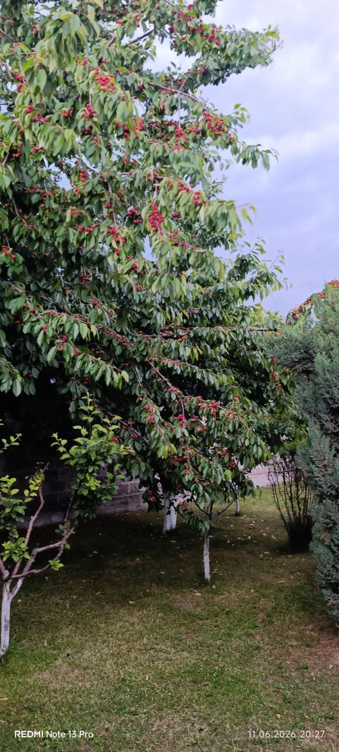 Kalachi guest house Armenia House in Armenia