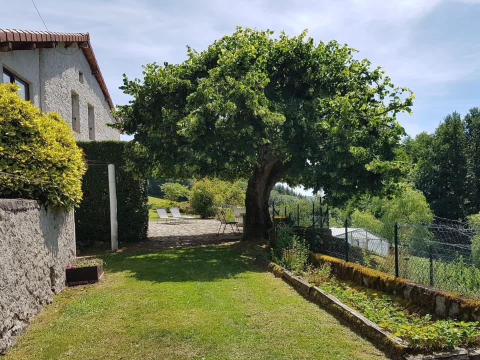Gîte verdoyant 8 pers, animaux admis, parking - FR-1-489-458 House in Auvergne-Rhône-Alpes