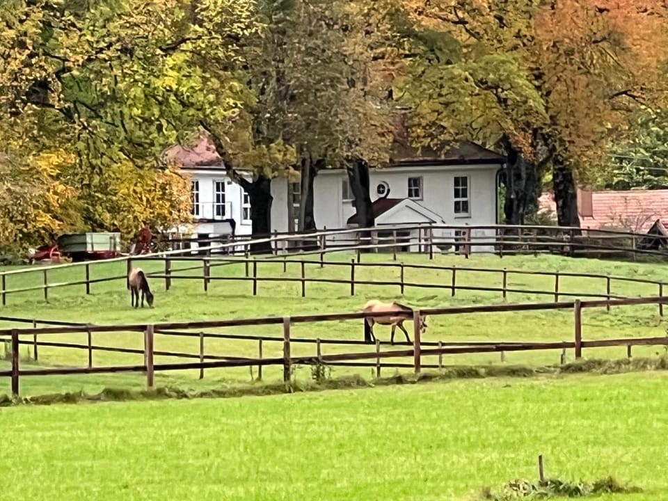 Property building, group of guests