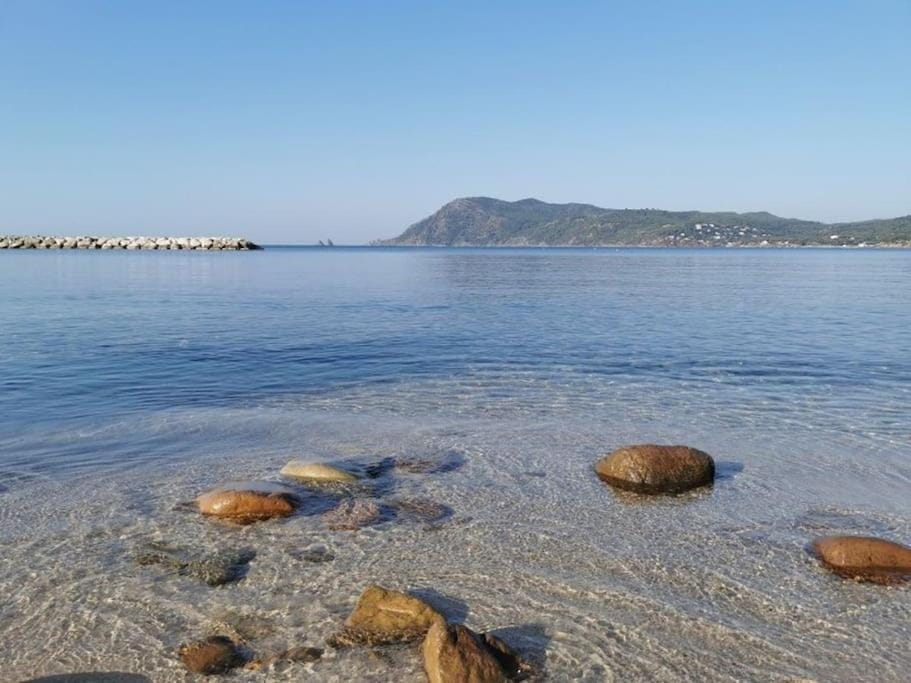 Grand T2 60M² /Jardin 50M² plein sud /Mer à pieds Apartment in La Seyne-sur-Mer