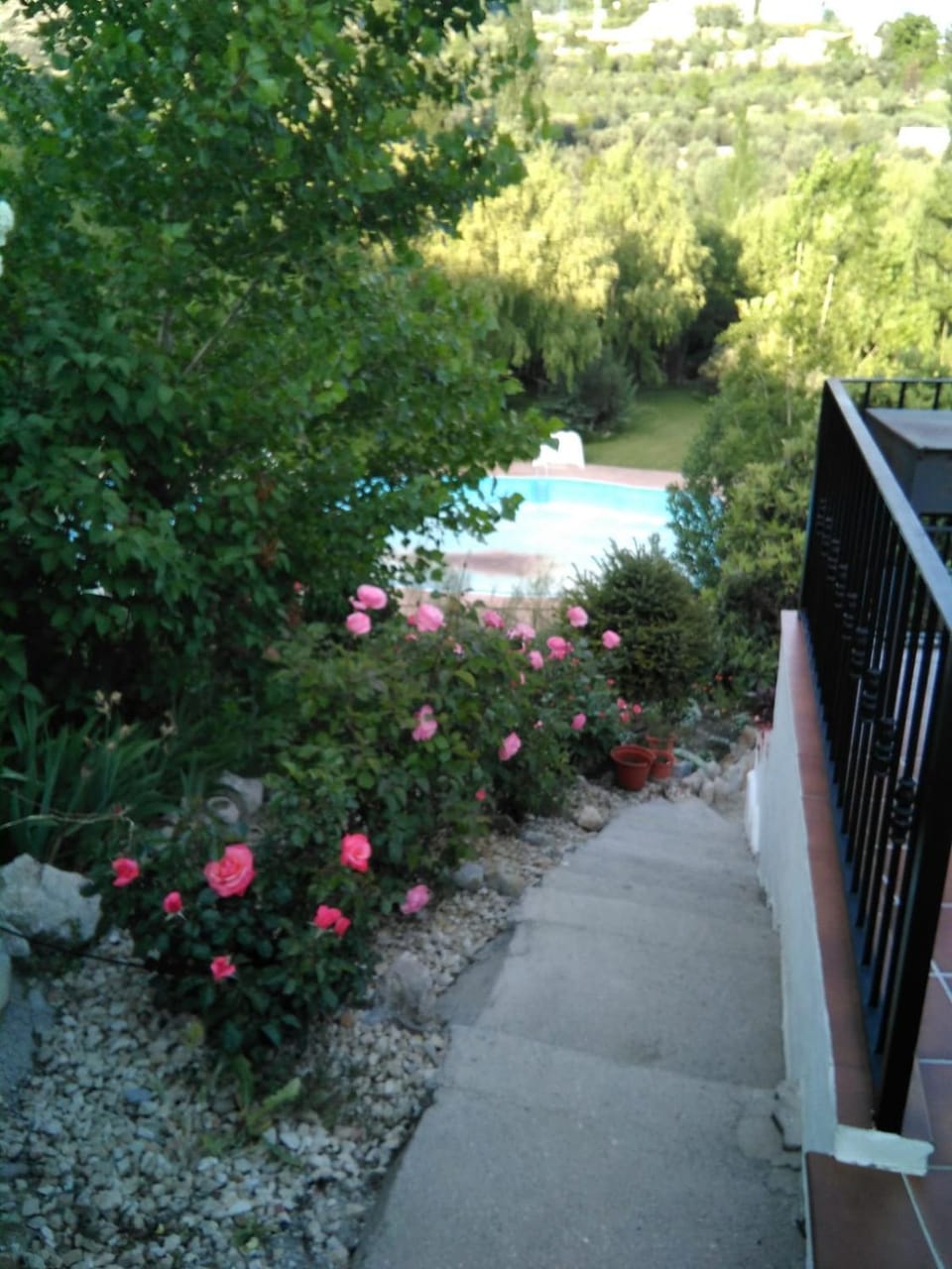 Garden view
