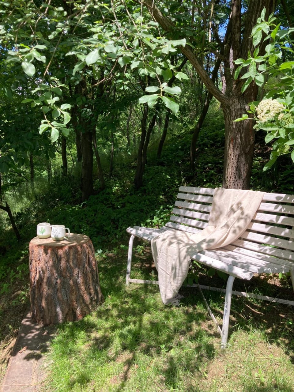 Garden view