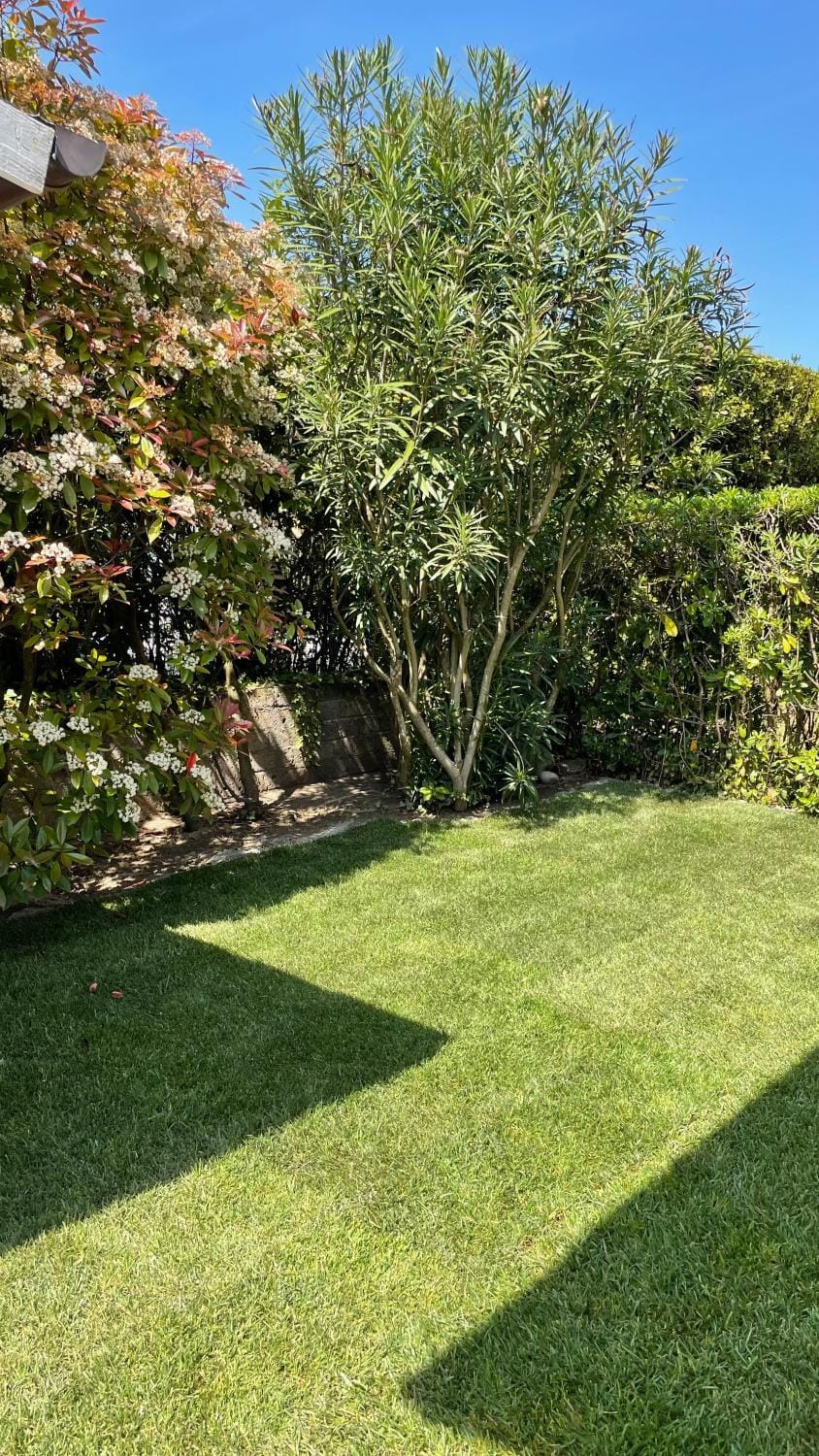 Natural landscape, Garden view