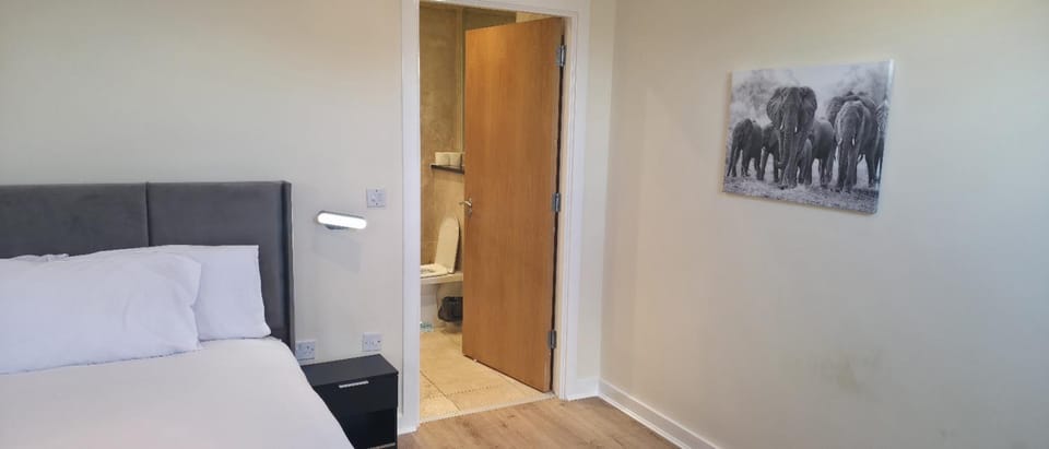 Bed, Living room, Photo of the whole room, Seating area, Bedroom