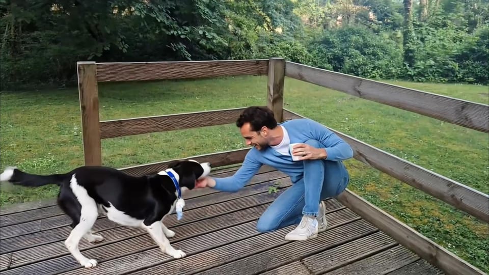 Day, Natural landscape, Pets, Guests