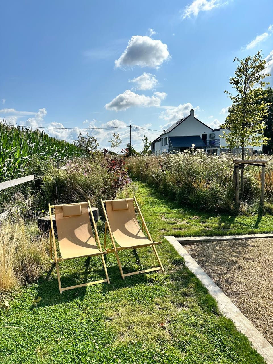Natural landscape, Garden, sunbed