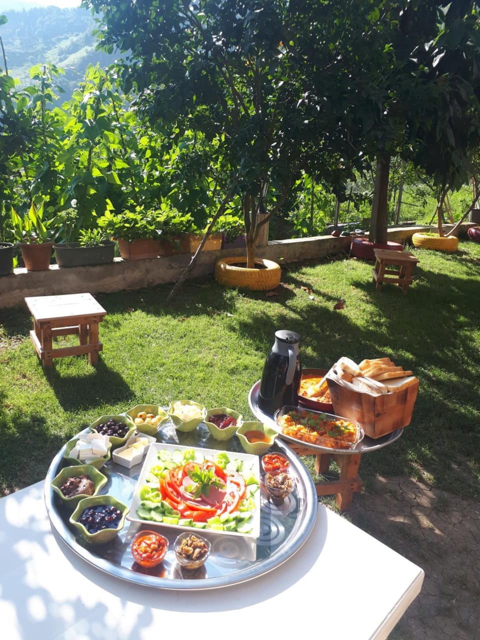 Natural landscape, Garden, Garden view, Breakfast