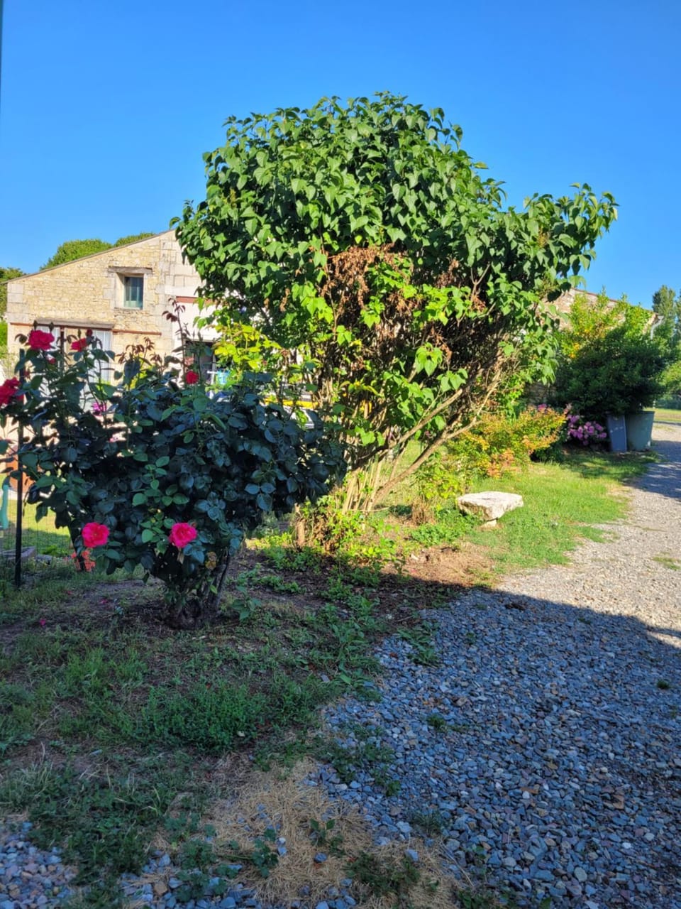 Garden, Garden view