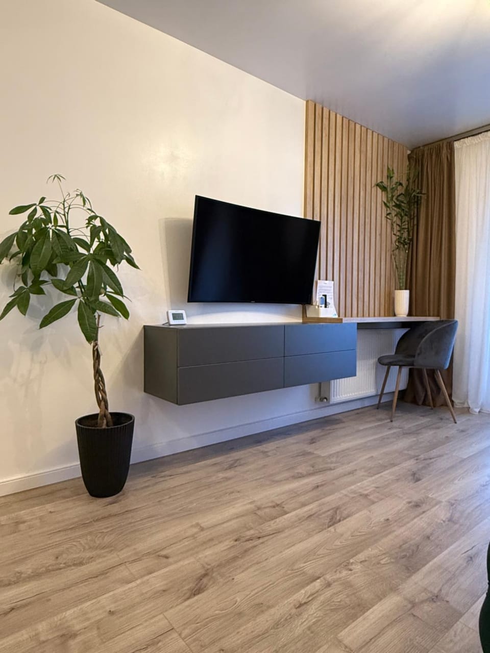 TV and multimedia