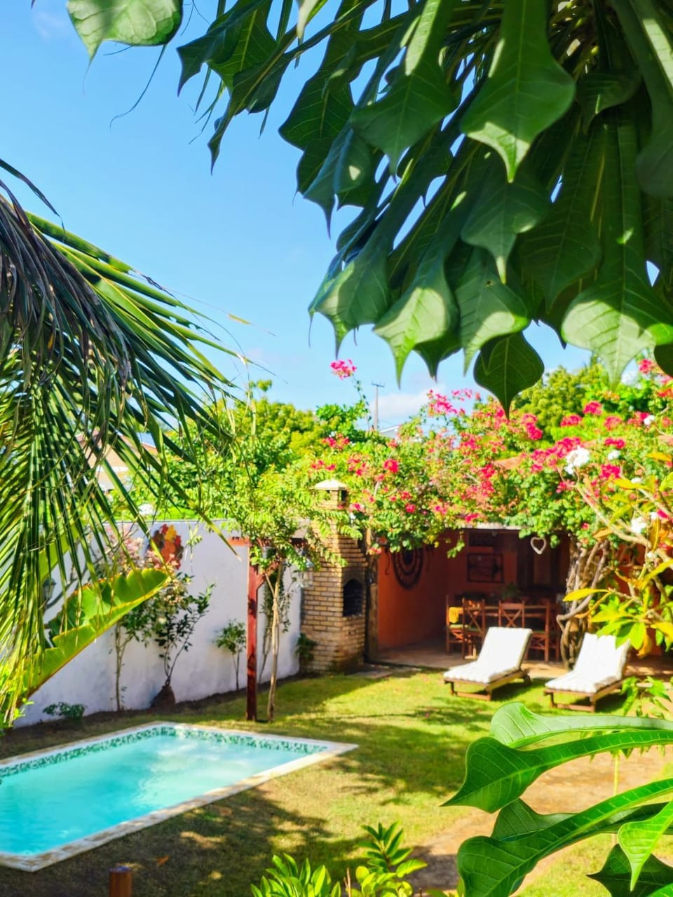 Garden view