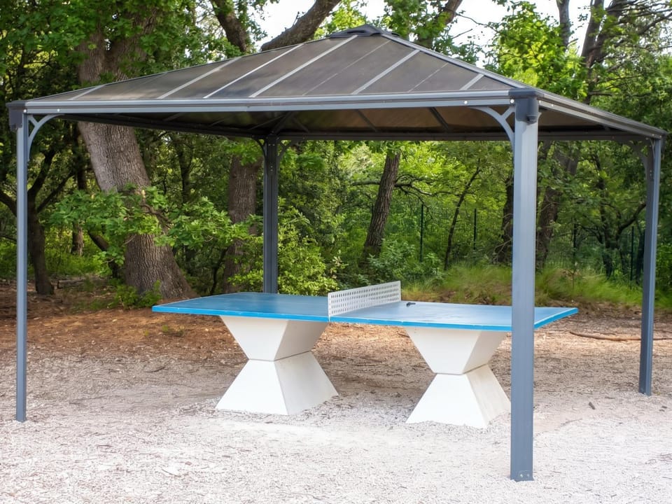 Table tennis