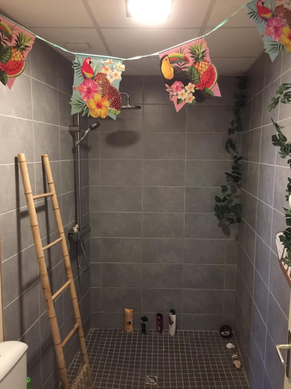 Shower