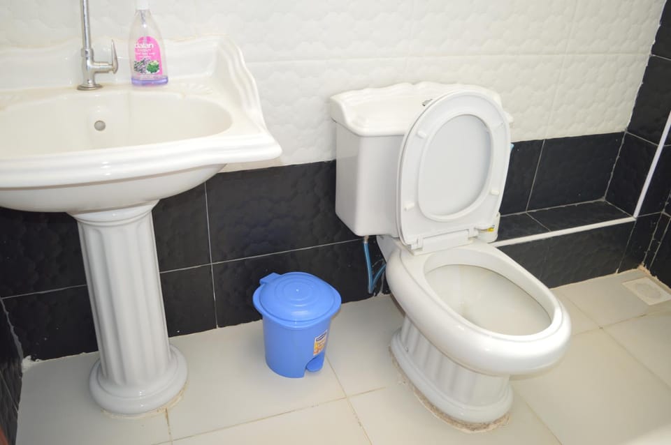 Toilet, Bathroom, bidet