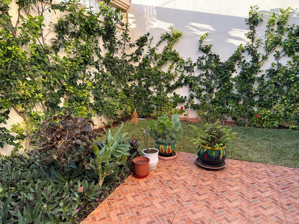 Rez-de-jardin à Mohammedia Apartment in Mohammedia