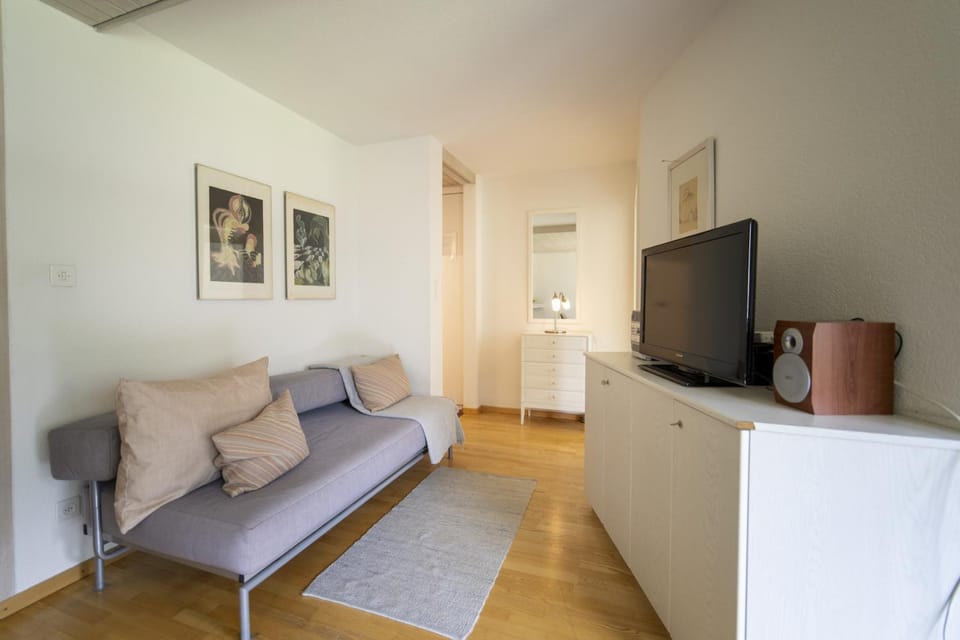 Communal lounge/ TV room, Living room