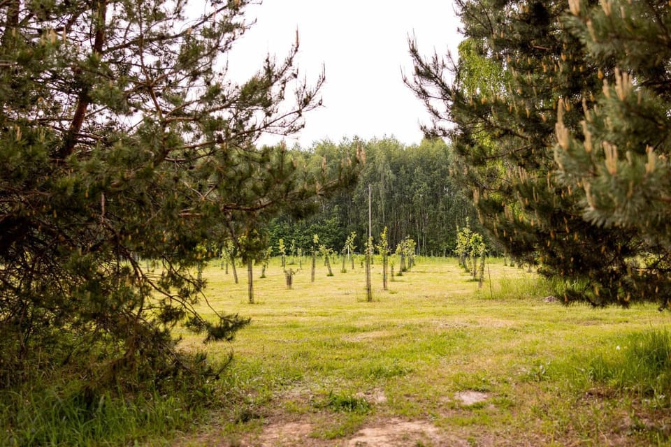 Agroturystyka Głuchowskie Specjały Farm Stay in Poland