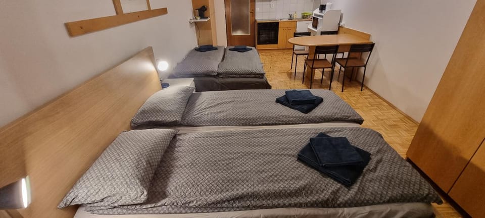 Apartma Luka with private parking Apartment in Slovenia