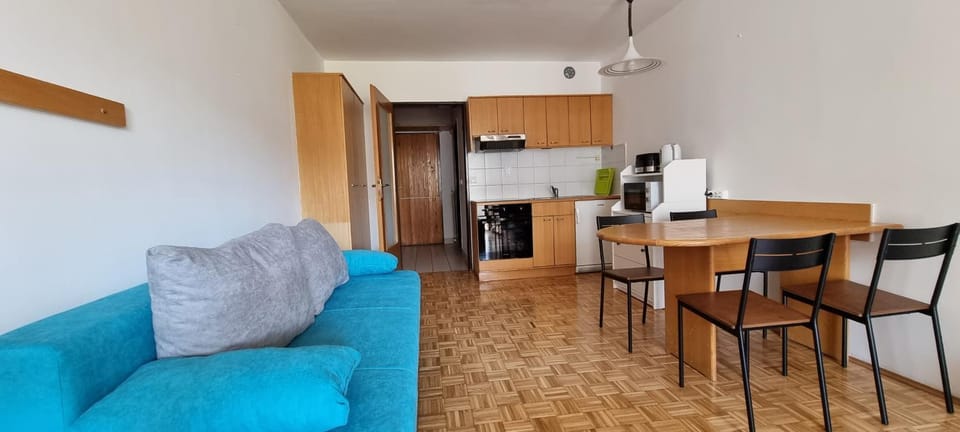 Apartma Luka with private parking Apartment in Slovenia