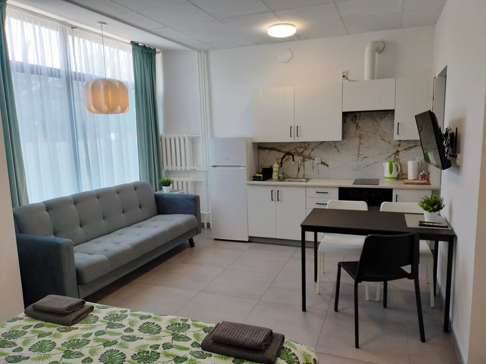 Kitchen or kitchenette, Living room, Seating area, Dining area, stove