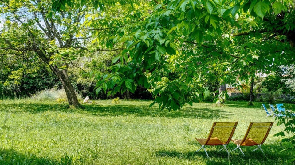 Le cèdre du parc de la dame House in Saint-Cyprien