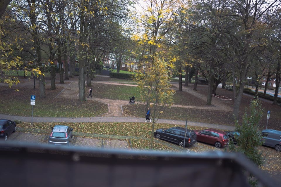 Natural landscape, Garden view