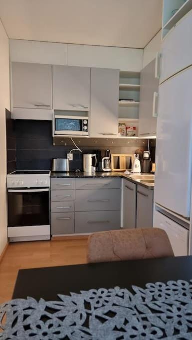 Viihtyisä kaksio ydinkeskustassa maantasossa Apartment in Finland