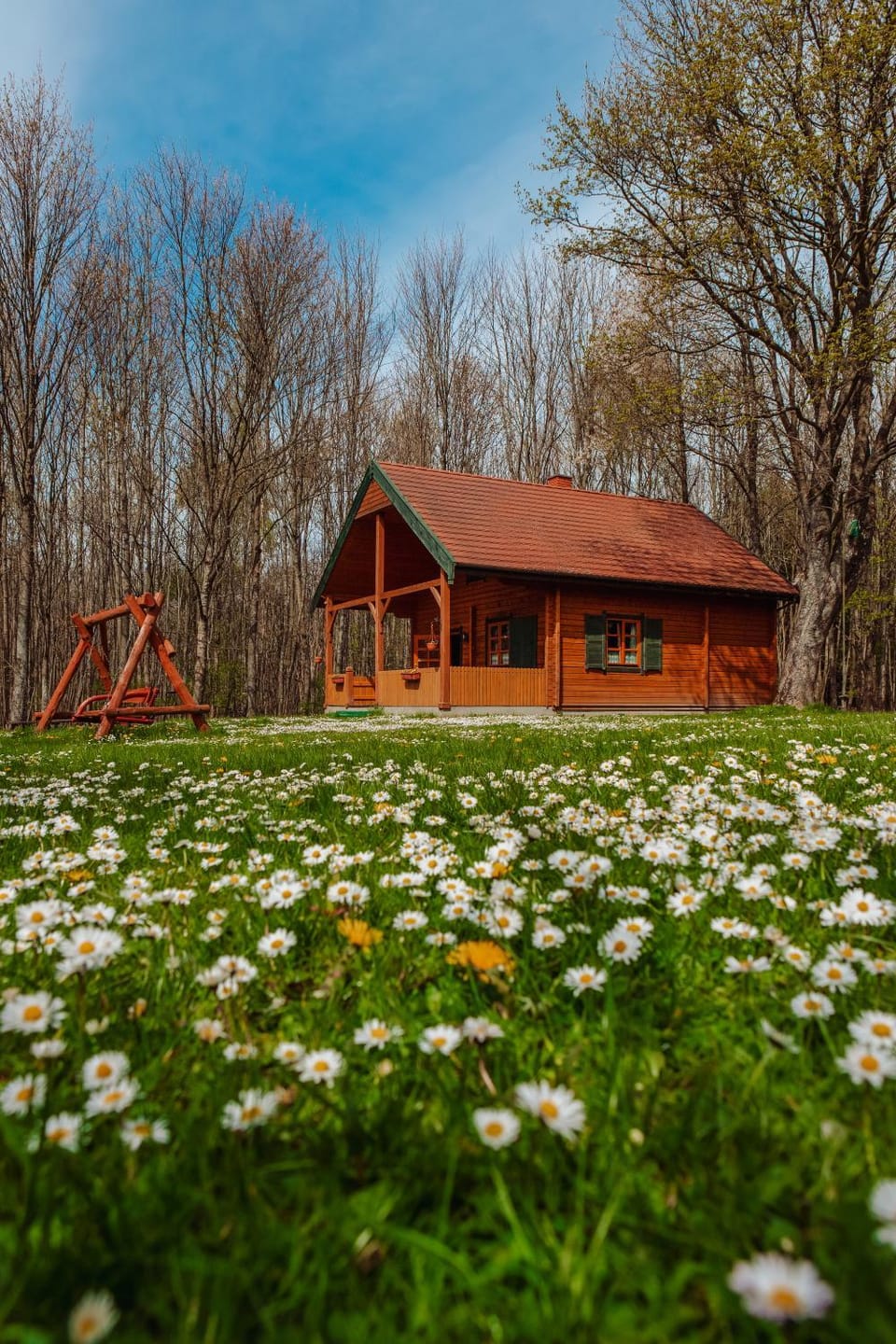 Property building, Spring