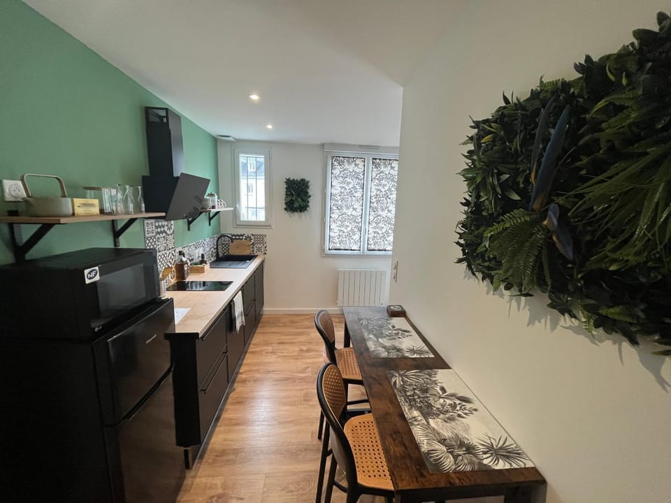 STUDIO JUNGLE - HYPEr CENTRE LORIENT Apartment in Lorient