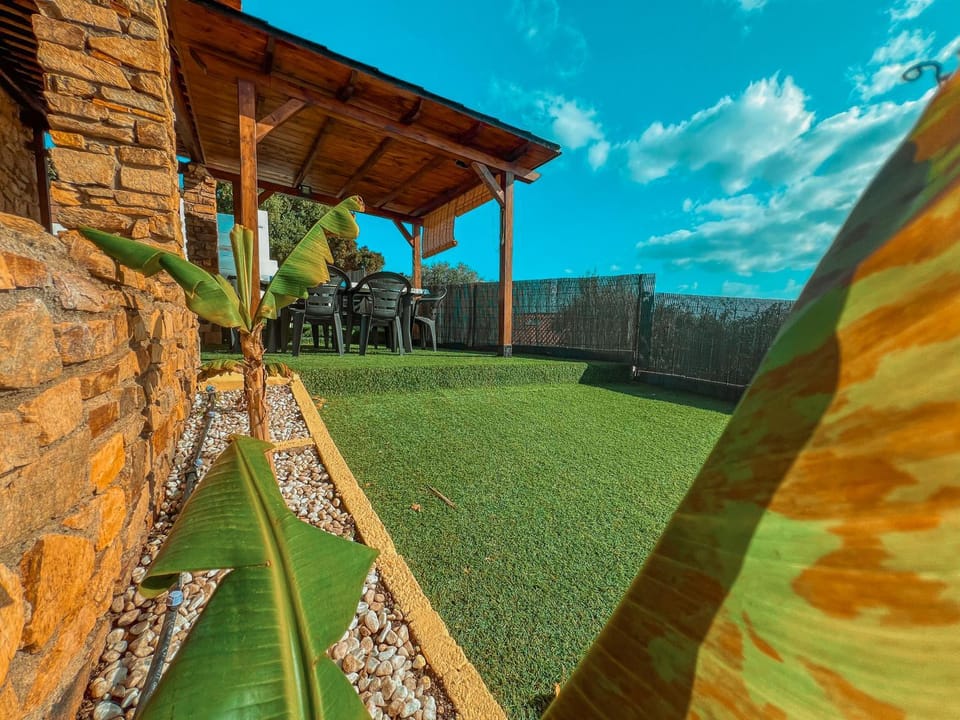 Property building, Patio, Garden, Garden, Garden view