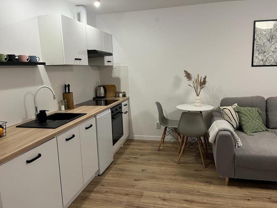 Apartament Niko Nad Zatoką Pucką Apartment in Pomeranian Voivodeship