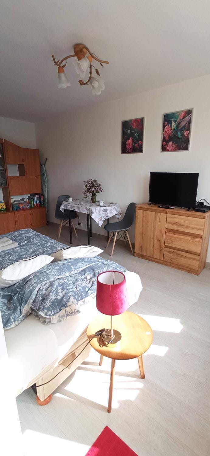 Słoneczne Centrum Apartament Apartment in Lithuania