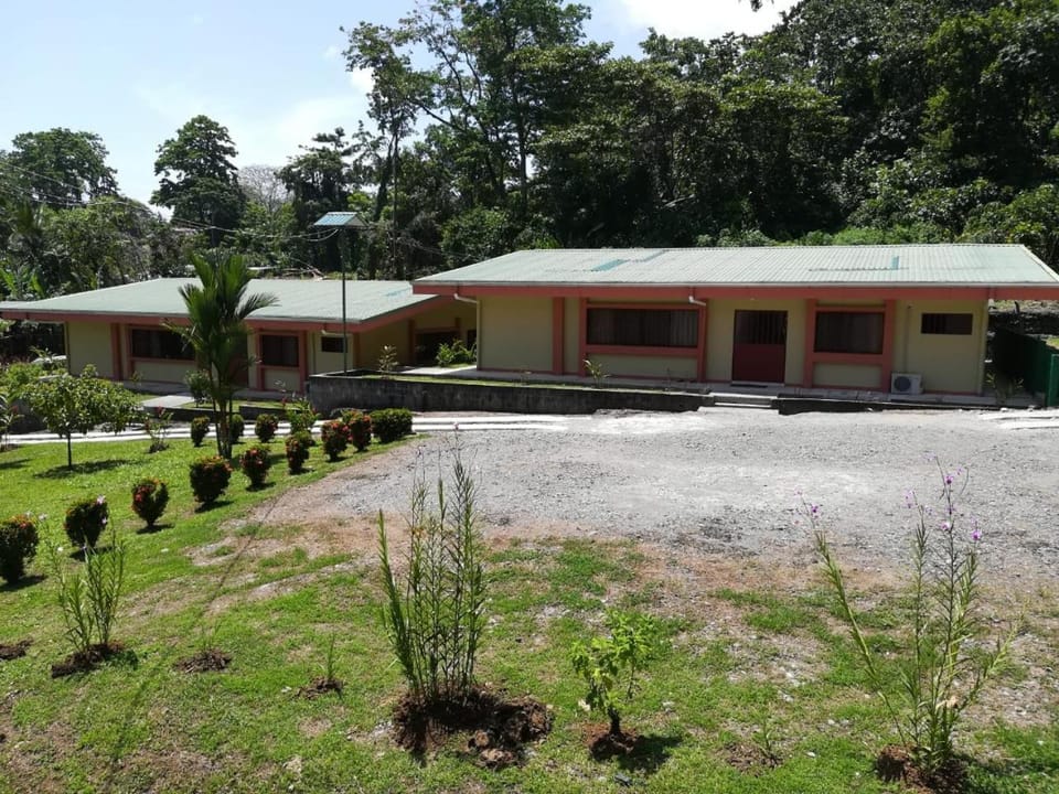 Property building, Garden, Garden view