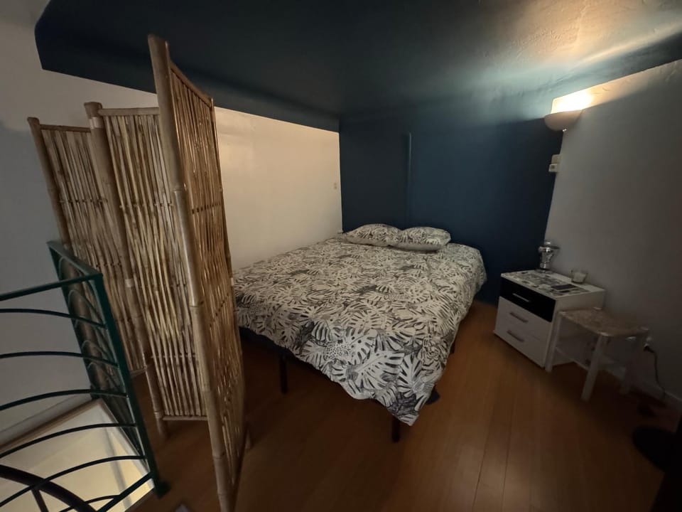 Duplex spagiari Apartment in Nice